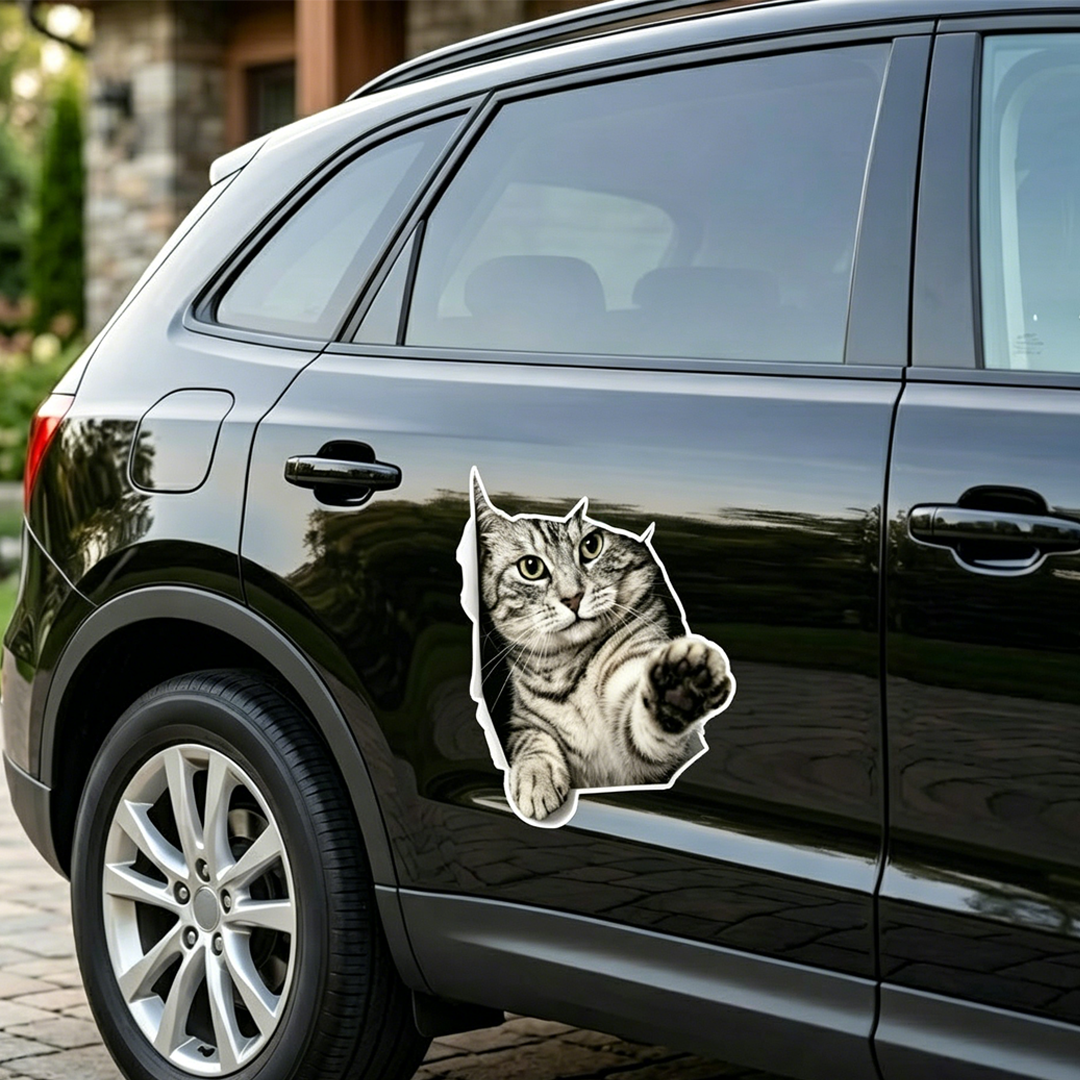 Car Stickers